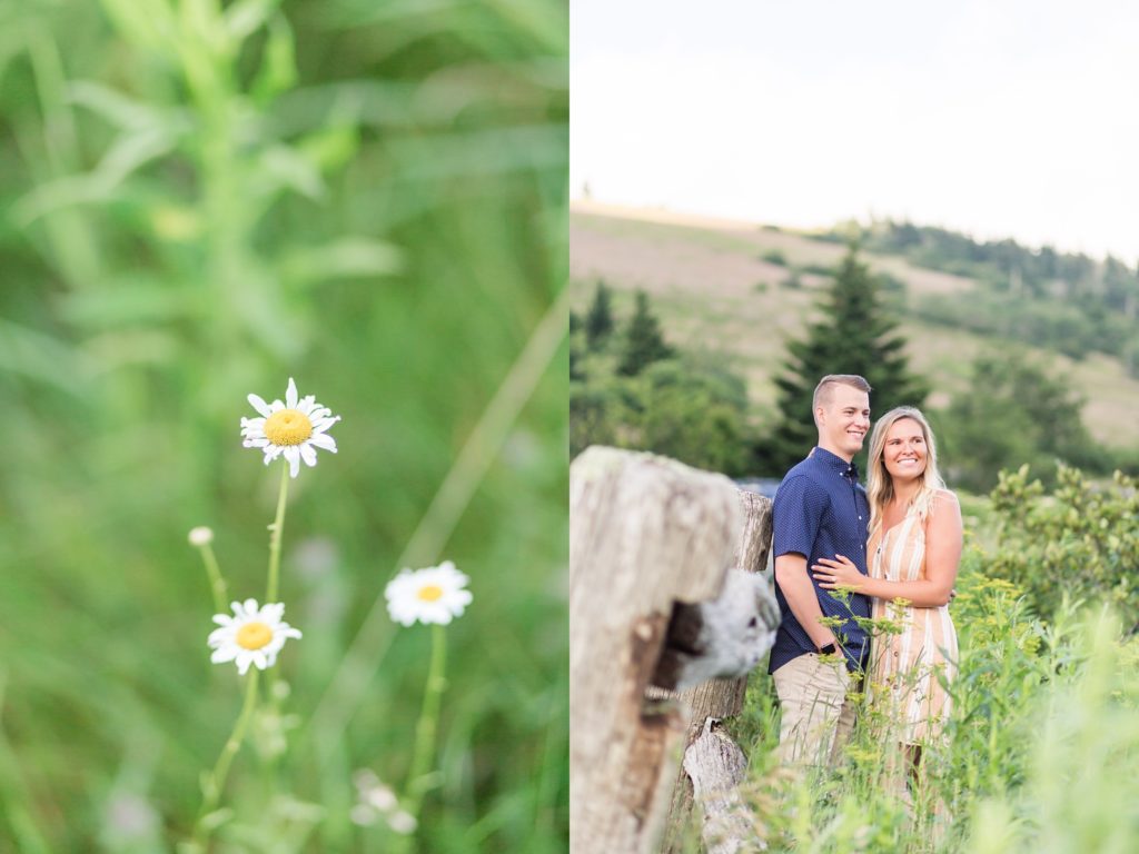 engagement session at Roan Mountain in Roan Mountain, TN